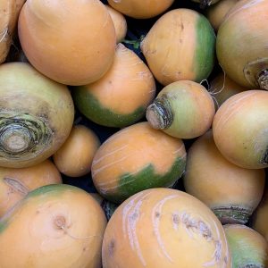 Navets Boule d'or BIO (500g)