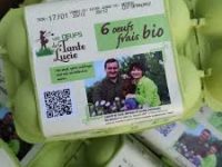 Oeufs bio (La boite de 6 oeufs moyens)