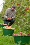 Jus de fruits, pétillants bio MACLART