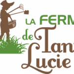 Oeufs de la ferme de Sainte Lucie