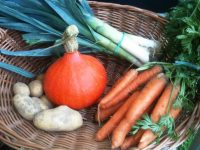 P’tit Panier Légumes