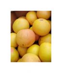 Pamplemousse rose (1 kg)