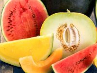 Autres fruits bio de saison
