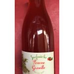 Jus fruité de Pommes groseilles (bouteille 1L)