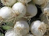 Oignons blancs  (500g)