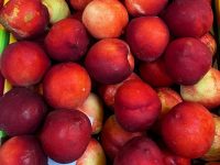 Nectarines jaunes kg