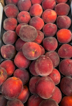 Pêches blanches 1kg