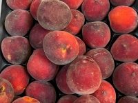 Pêches blanches 1kg