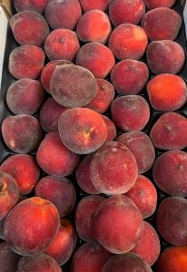 Pêches blanches 1kg