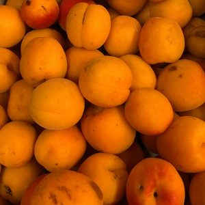 ABRICOTS flopria bio cal B 1kg