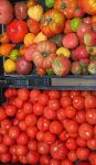 Tomates  (1 kg)