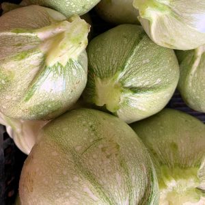 Courgette ronde blanche de Nice 1kg