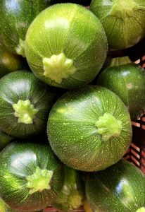 Courgette ronde verte de Nice 1kg
