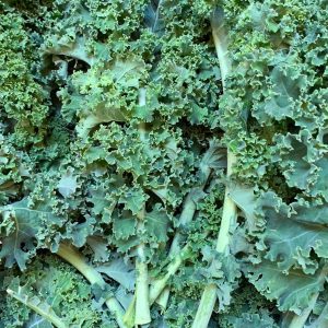 Chou Kale frisé  (500 g)
