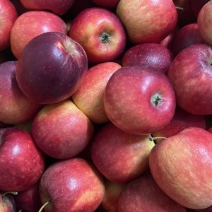 Pommes Jonagored (1kg)