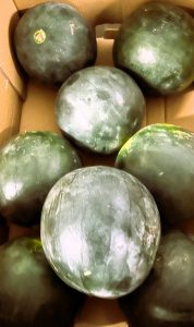 Pastèque (part environ 1kg)