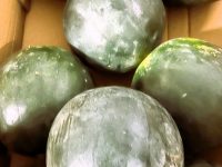Pastèque (part environ 1kg)