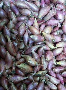 Echalotes nouvelles (250g)