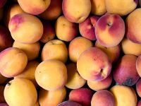 ABRICOTS flopria bio cal B 500g