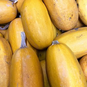 Courge spaghetti (environ 1kg)