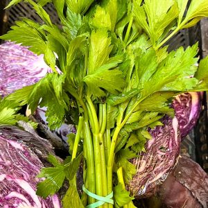 CELERI branche (botte 250g) BIO