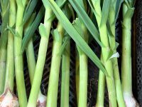 Ail demi sec (1 tête)