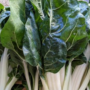 Blettes Barese (botte environ 600g)