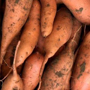 Patates douces Beauregard (500 g)