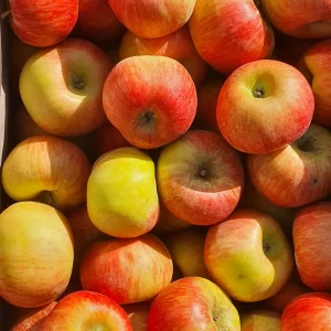 Pommes bio 'Topaz' (1kg)