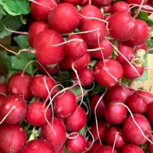 Radis ronds (rouges ou  jaunes ou violet) (botte)