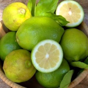 Citrons jaunes Verdello (500 g)