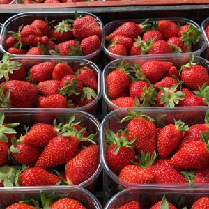Fraises Cirafine ou Manon  (3 barquettes en promo)