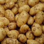 Pommes de terre 'Bernadette' 1kg