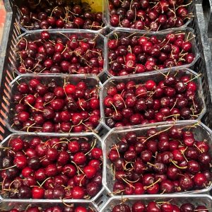 Cerises regina bio 500g
