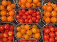 Tomates cerises rouges ou oranges (3 barquettes de 250 gr)