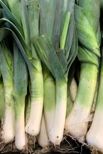Poireaux nouveaux 500g