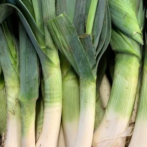 Poireaux d'automne (1 kg) BIO