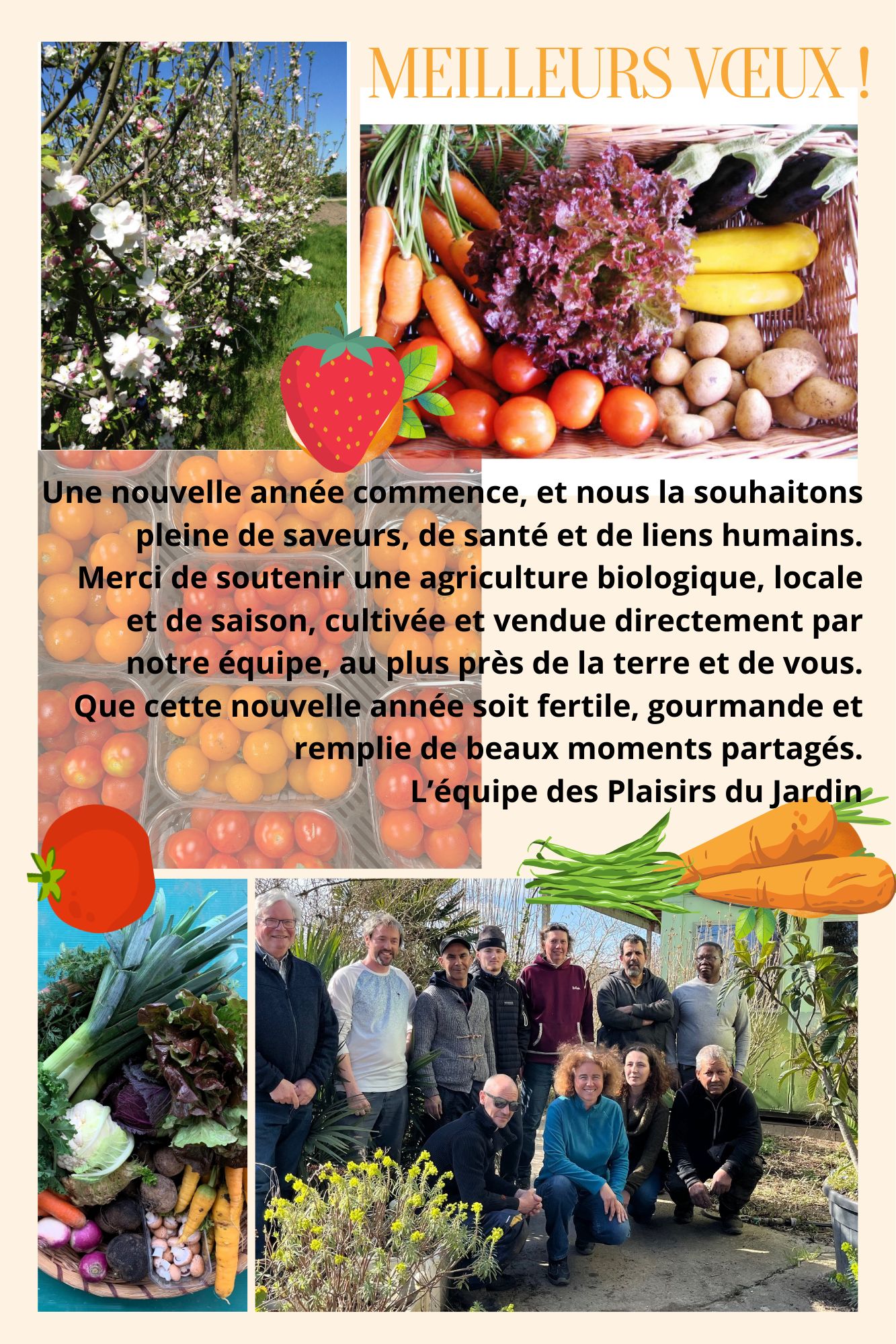 meilleurs voeux 2026