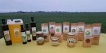 La ferme des 4 vents