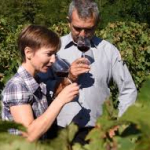 Domaine Drussé