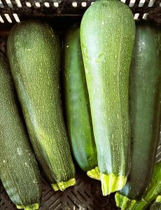 COURGETTE longue verte (Unité)