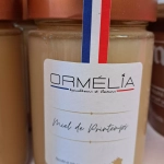 Miel d'Opalie de printemps 480g