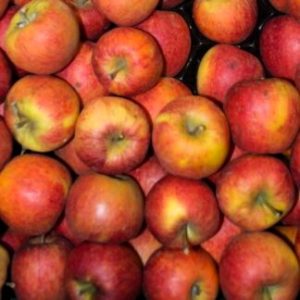 Pommes Bio 'Arlet' (1 kg)
